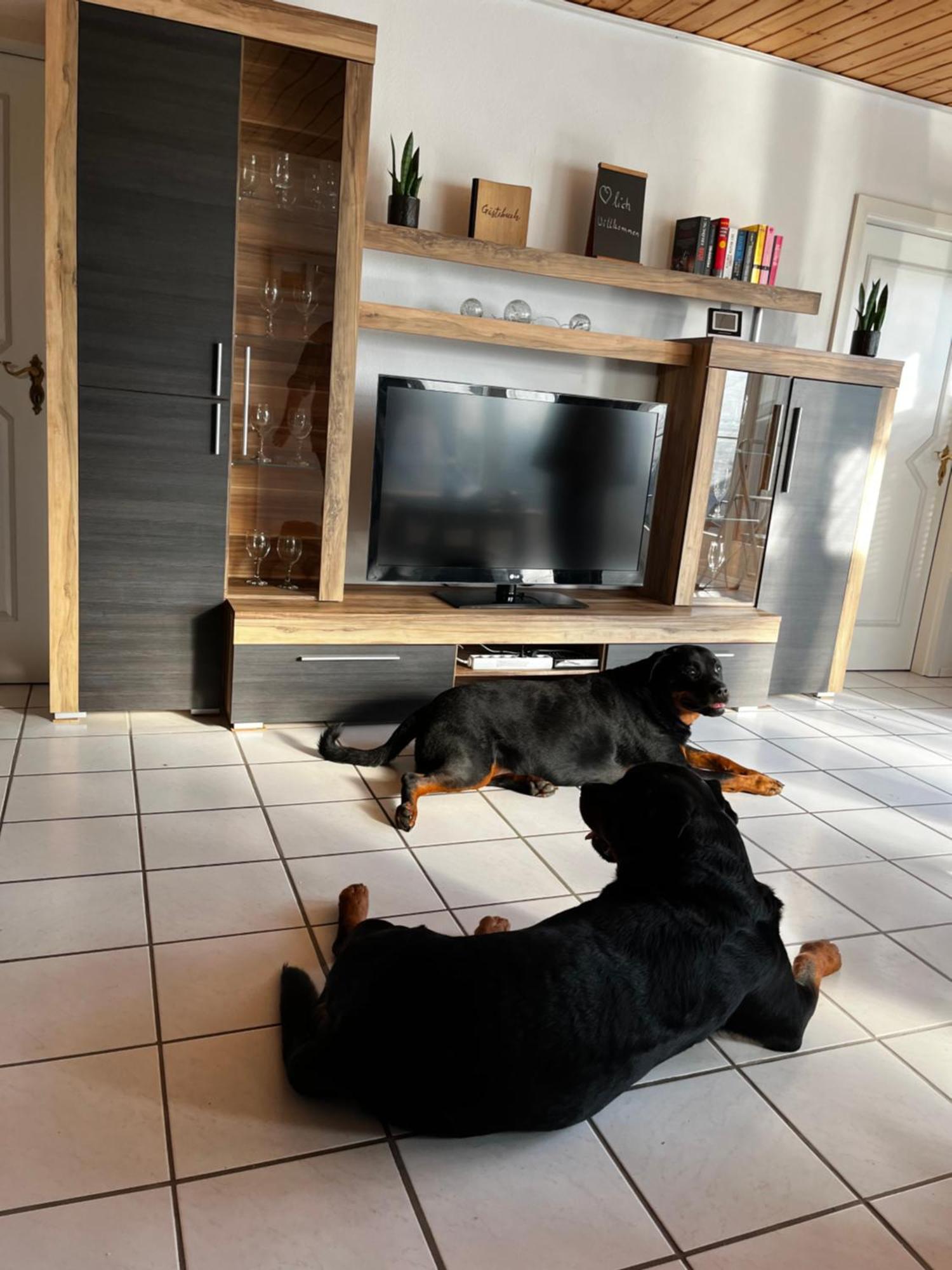 Zur Fellnase Villa Horka Bagian luar foto